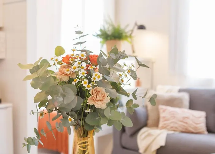 Apartamento Bravissimo Fellini Girona